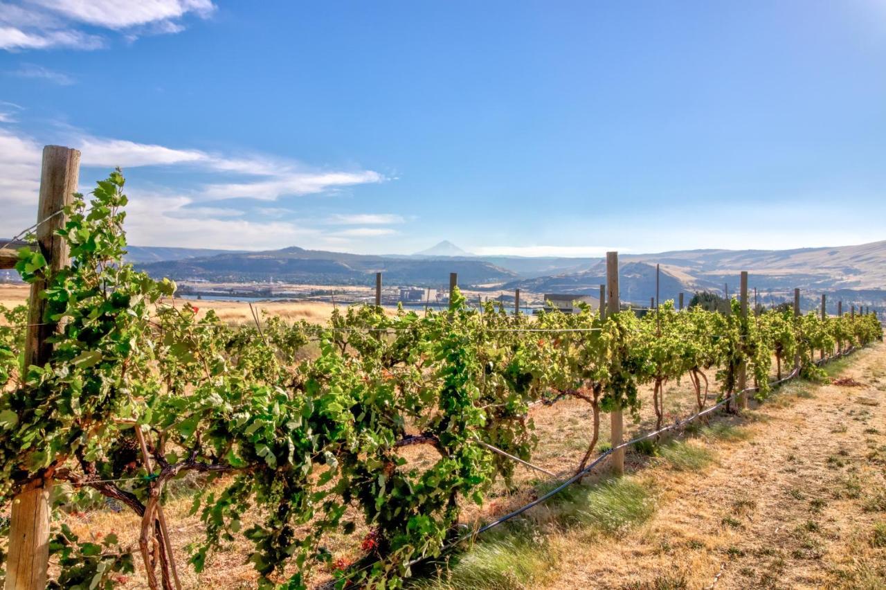 Grapevine Lodge Dallesport Luaran gambar